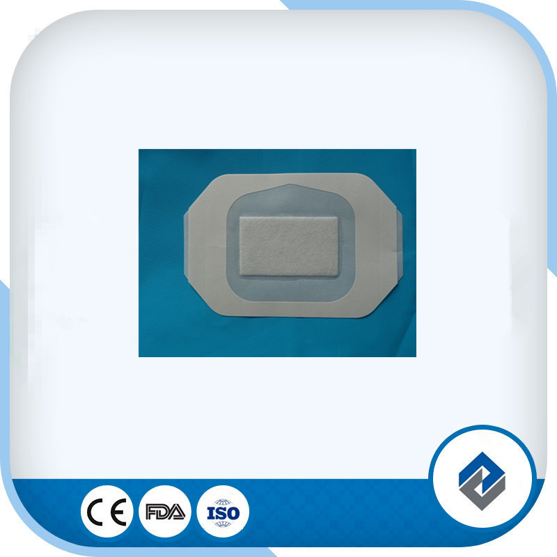 Transparent Semi-permeable Dressing
